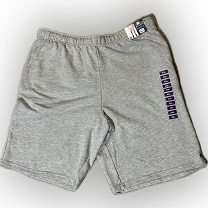 Men’s gray Champion shorts